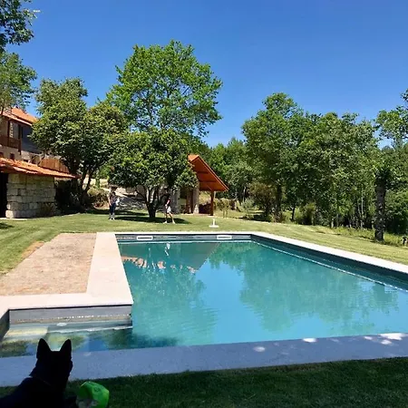 Alambique * Bustelo (Penafiel)